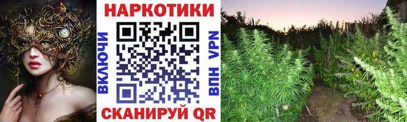 Где купить наркотики Октябрьский A PVP  Псилоцибиновые грибы  Гашиш  Канабис  Меф 