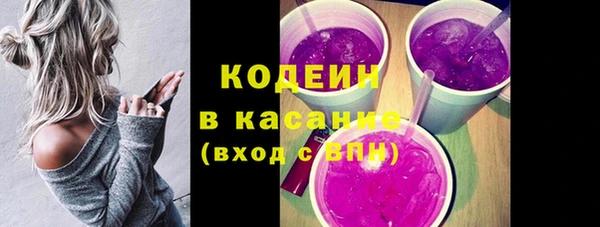 сатива Аркадак
