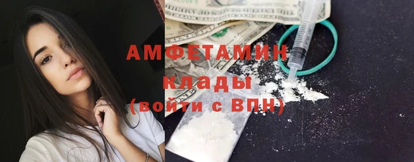 сатива Аркадак