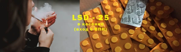 сатива Аркадак