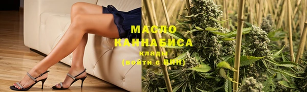 сатива Аркадак