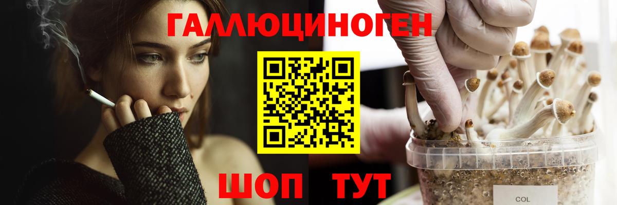 Галлюциногенные грибы GOLDEN TEACHER  Вход с VPN  Октябрьский 